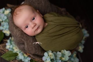 Galerie/Newborn (385)