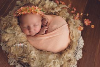 Galerie/Newborn (387)