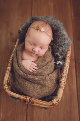Galerie/Newborn (389)