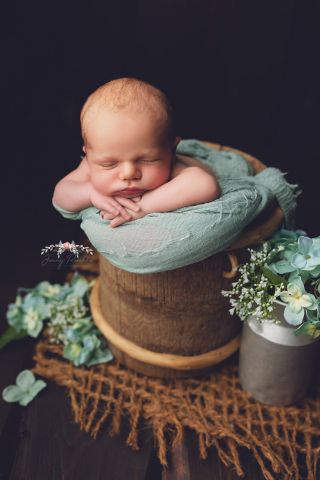 Galerie/Newborn (398)